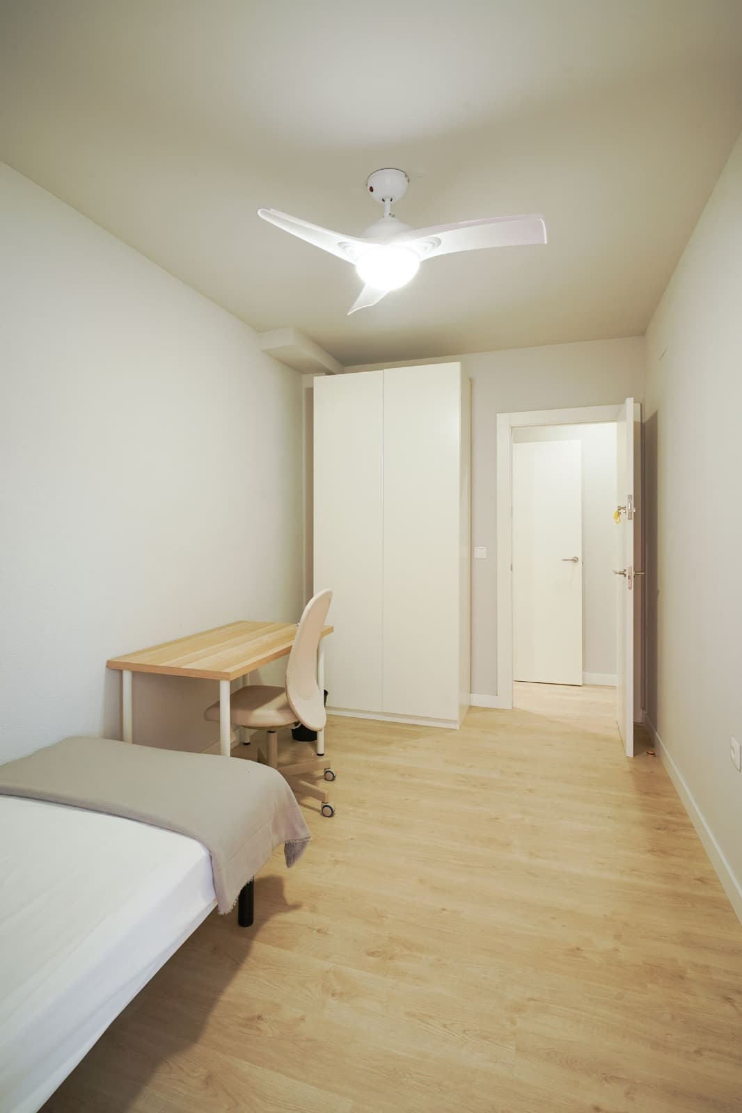 Reforma EL Palmar - Imagen 11